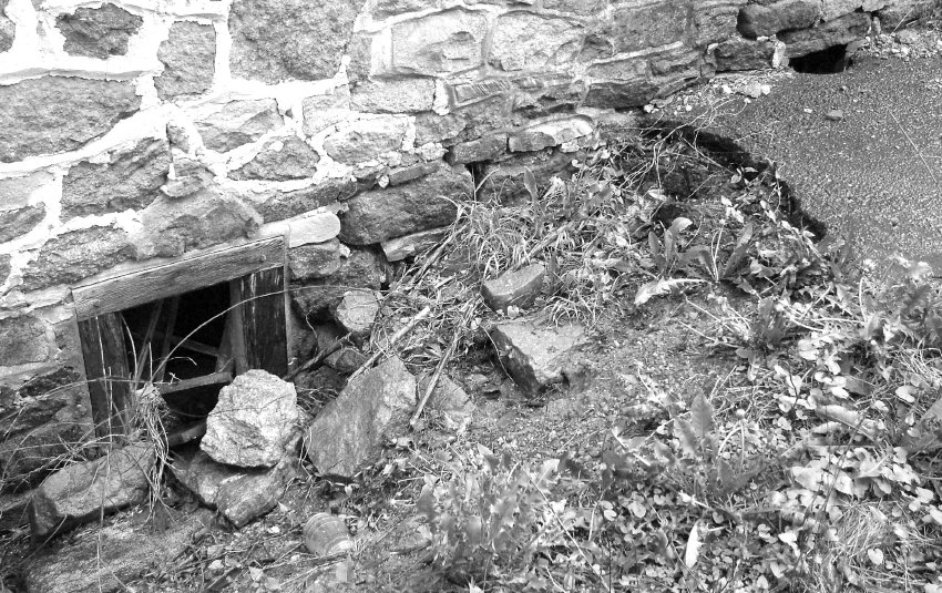 west cellar window