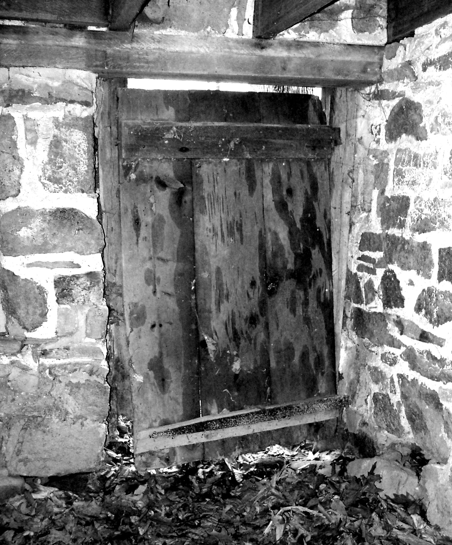 Interior view of cellar door, image 1