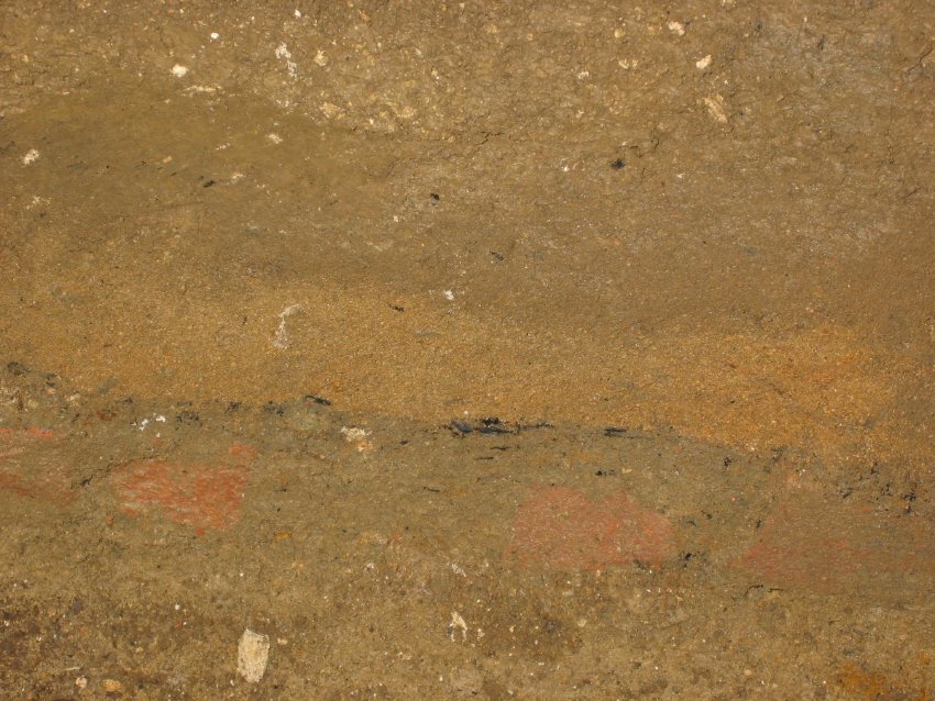 Floor-fill layers & early brick paving in DeTurk kitchen celllar, 783 (2009