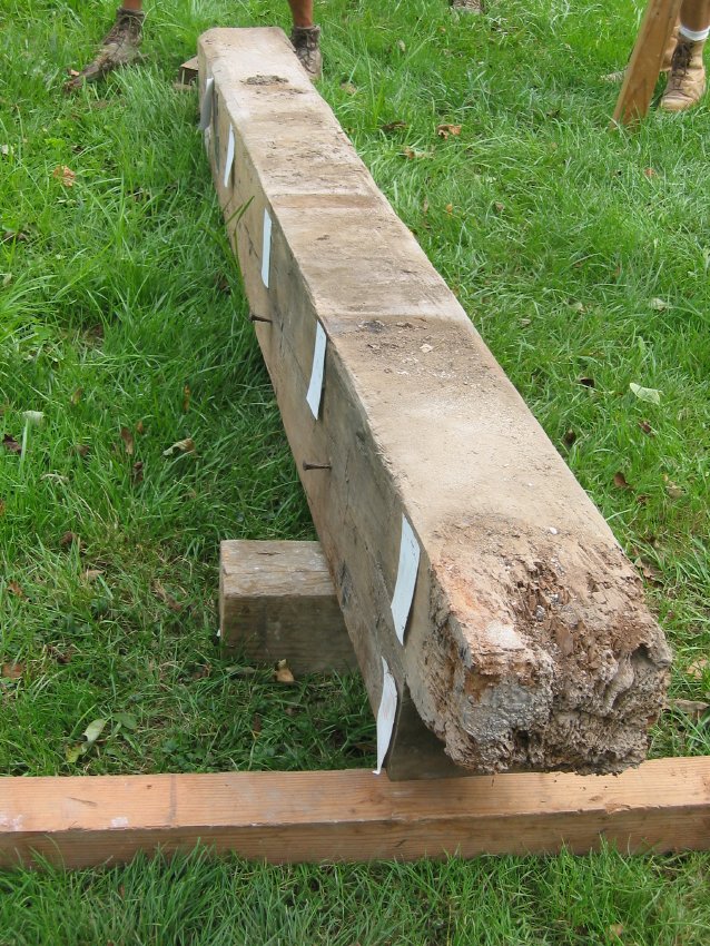 1030, 8/26/09: Beam after test-boring revealing severe termite damage