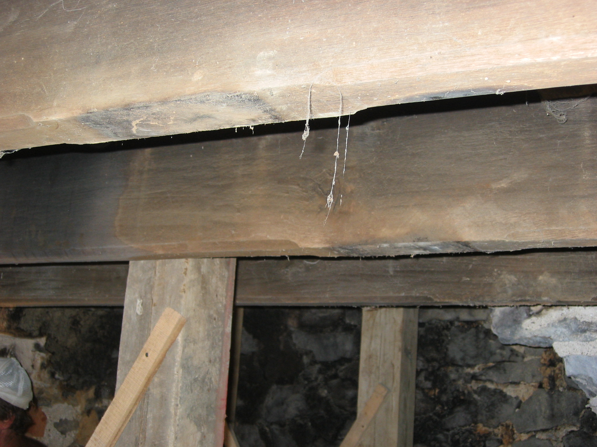 1034, 8/26/09: Underside of first floor joists after removal of summer beam