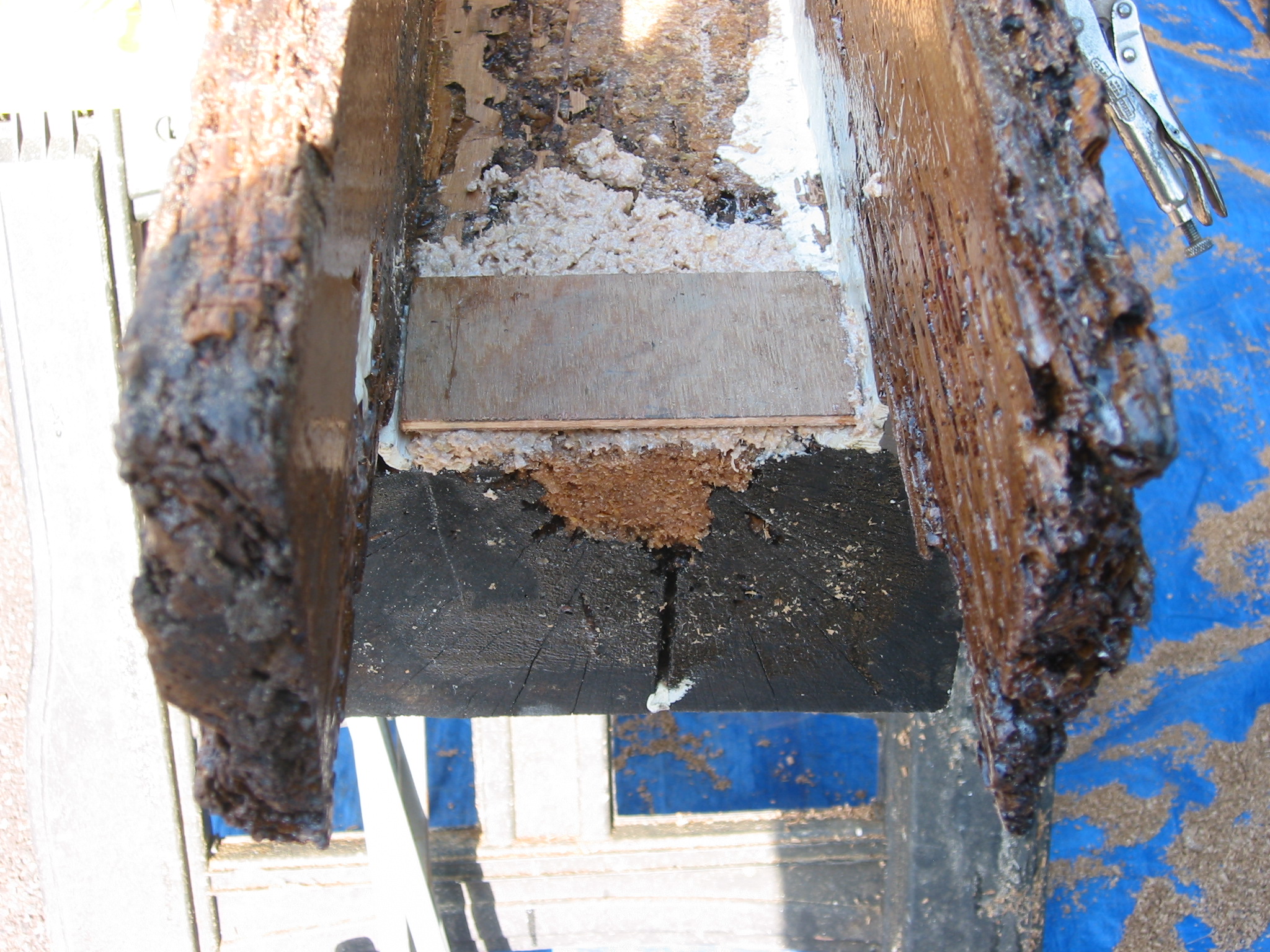 1220, 10/01/09: northern end of beam shell after treatment & consolidation