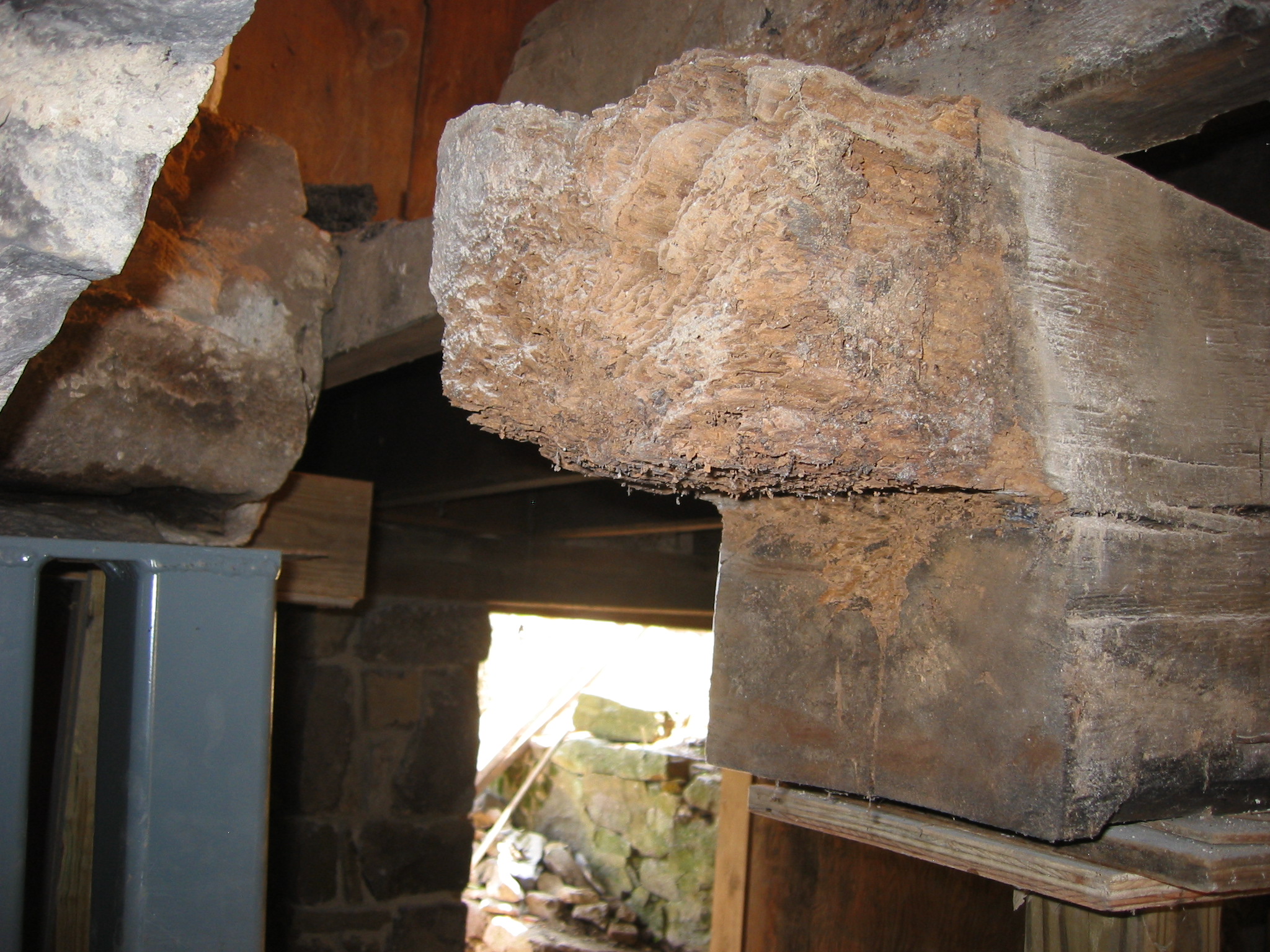 1025, 8/26/09: northern end of summer beam showing termite damage