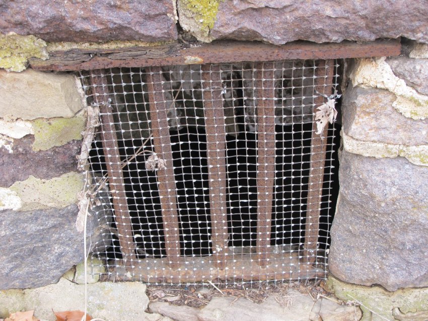 DeTurk House, early (possibly original) grille in E wall of cellar (2011)