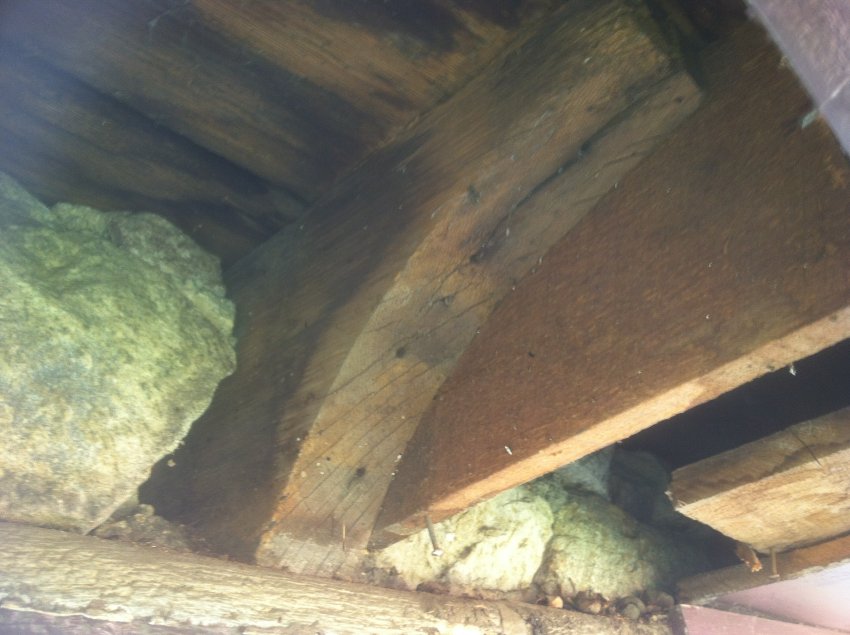 #2 (2013): Attic joist end coved for plaster lath
