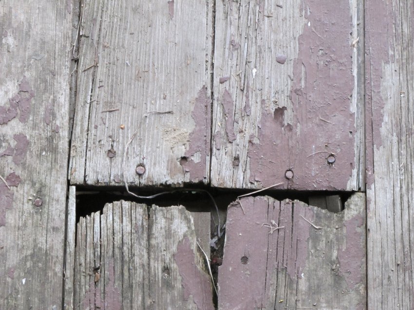 #17, 4178: deteriorated floor boards of 1930s porch