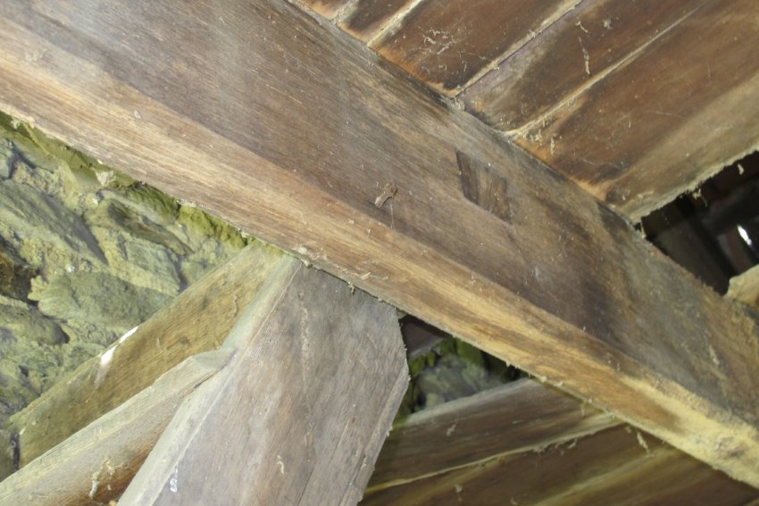 #2, 1067: detail view of header [“sill”] tenoned through string into joist.