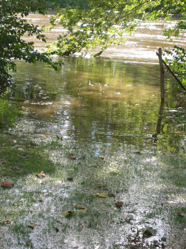 Schuylkill River levels at Morlatton Village, October 1, 2010 (image#3)