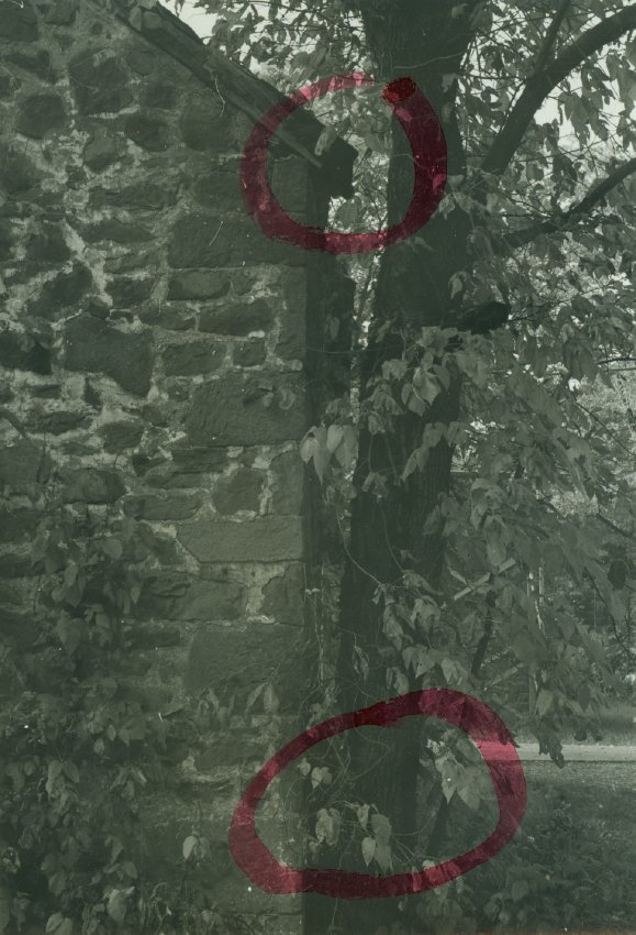 Michael Fulp House, detail of south gable wall (c.1966-67