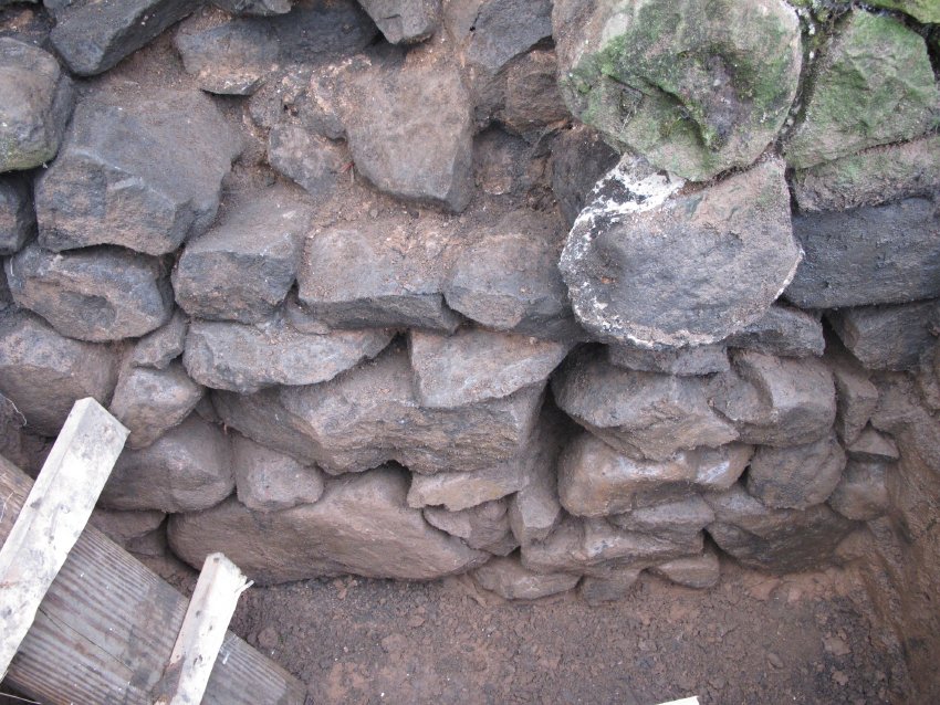 Michael Fulp House, see detailed caption #407 (2010)