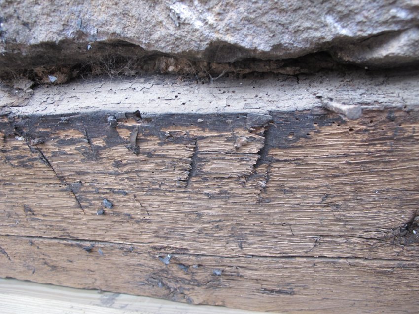 Fulp [Bridge Keeper's] House, see detailed caption #1619 (2010)