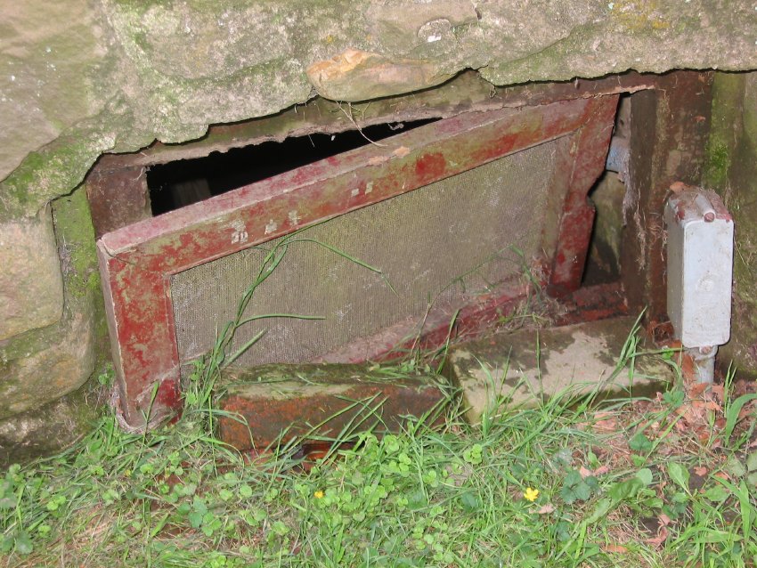 Michael Fulp House, cellar vent & screen (pre-2011)
