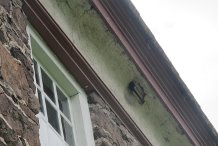 #17, damaged cove cornice on Douglass House, exposing original riven lath