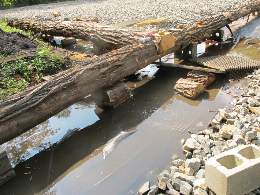 #12, 9271: 3-log joint between areas 2 & 3