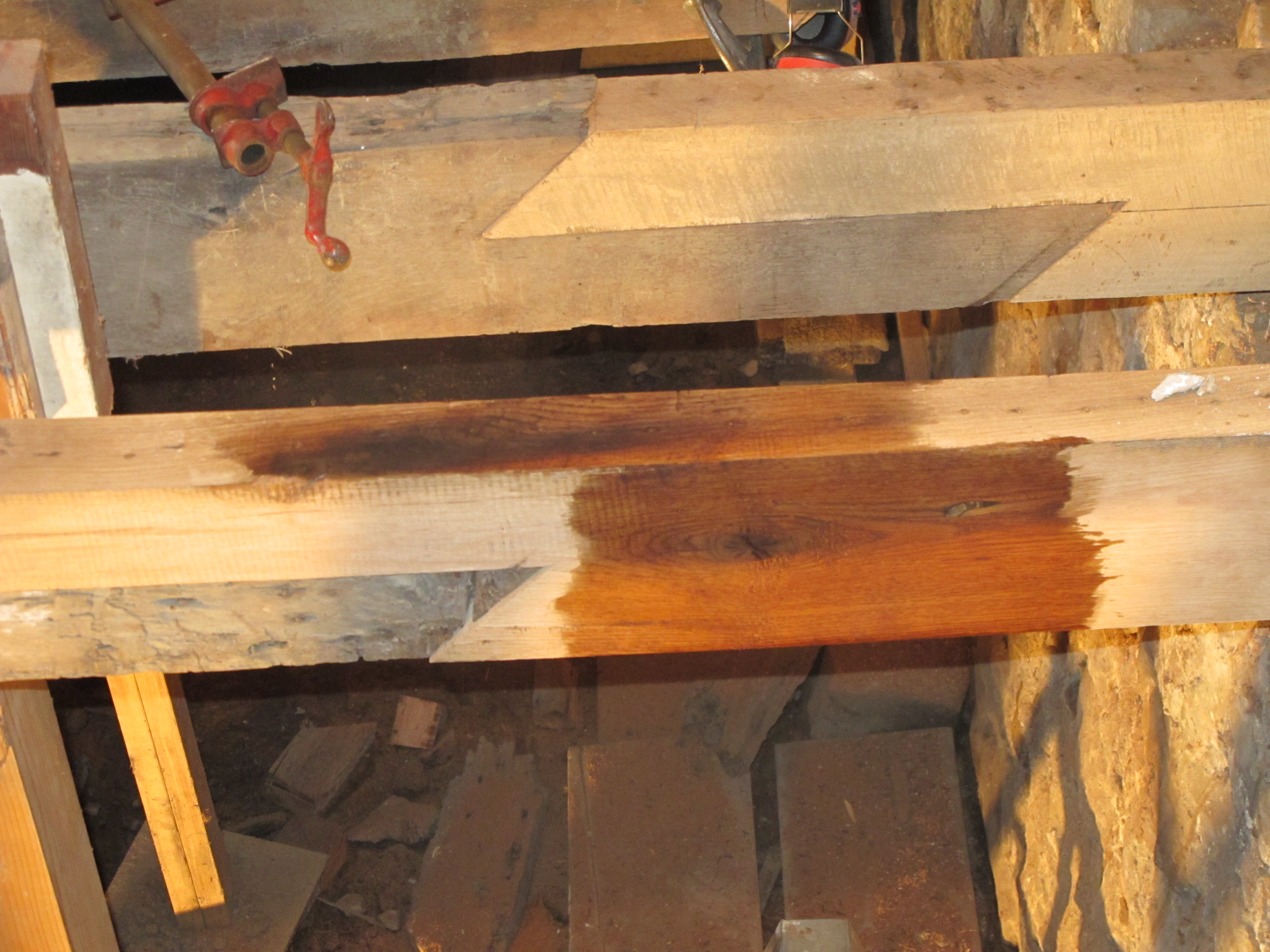 Image #5, Joist extensions treated with a borate insect preservative