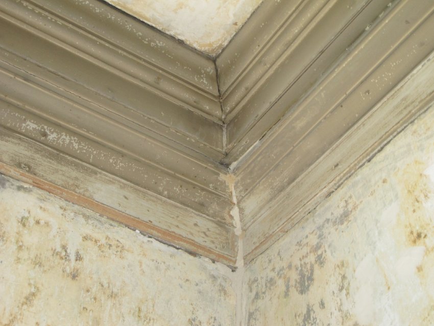 #2, 8922: Mitred cornice above Douglass House center-passage