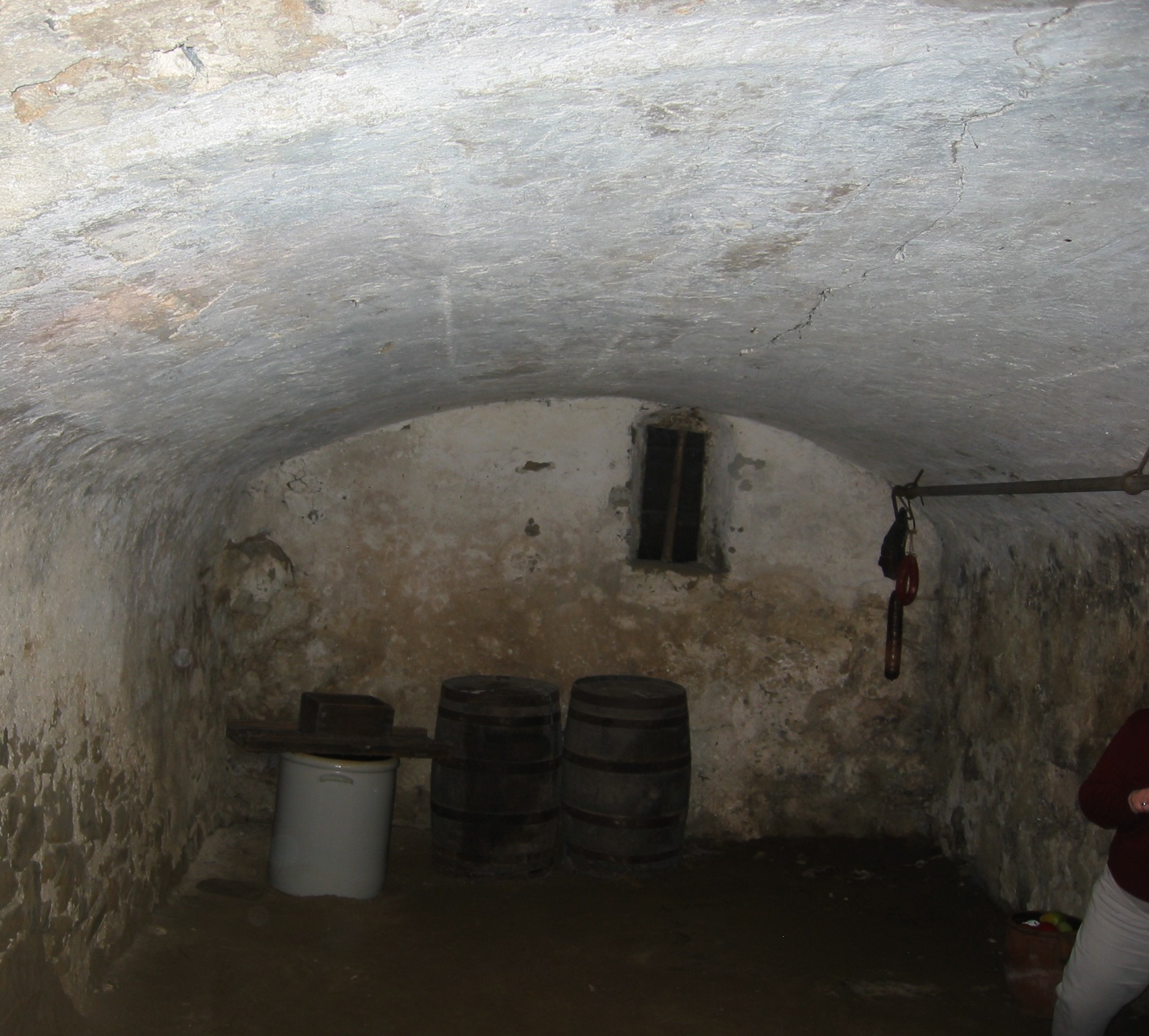 #1306: Elliptical root cellar-vault intrados under Hans Herr house