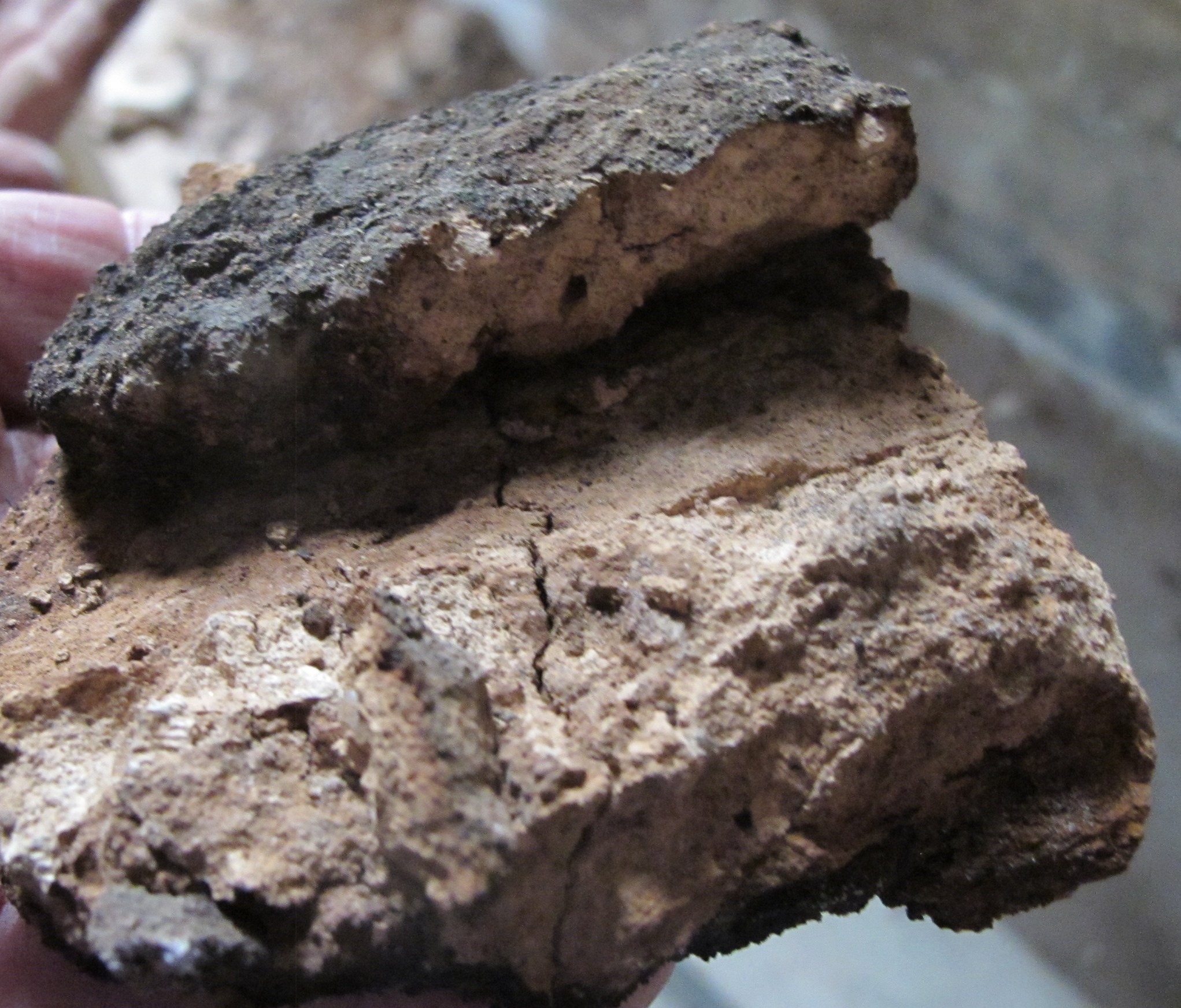 #11: 6227: Charred early mortar from Douglass addition chimney