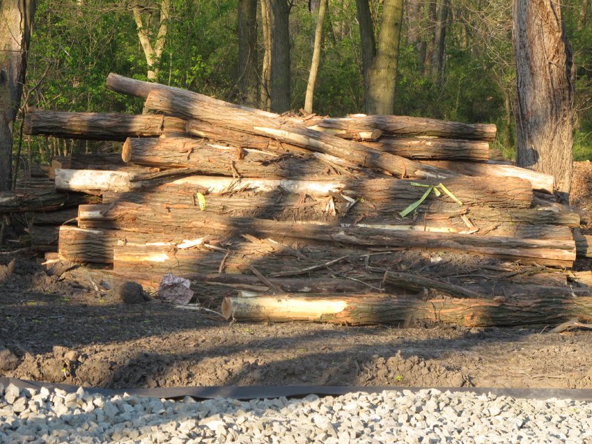Image #7, 8067: Locust logs selected for parking perimeter system