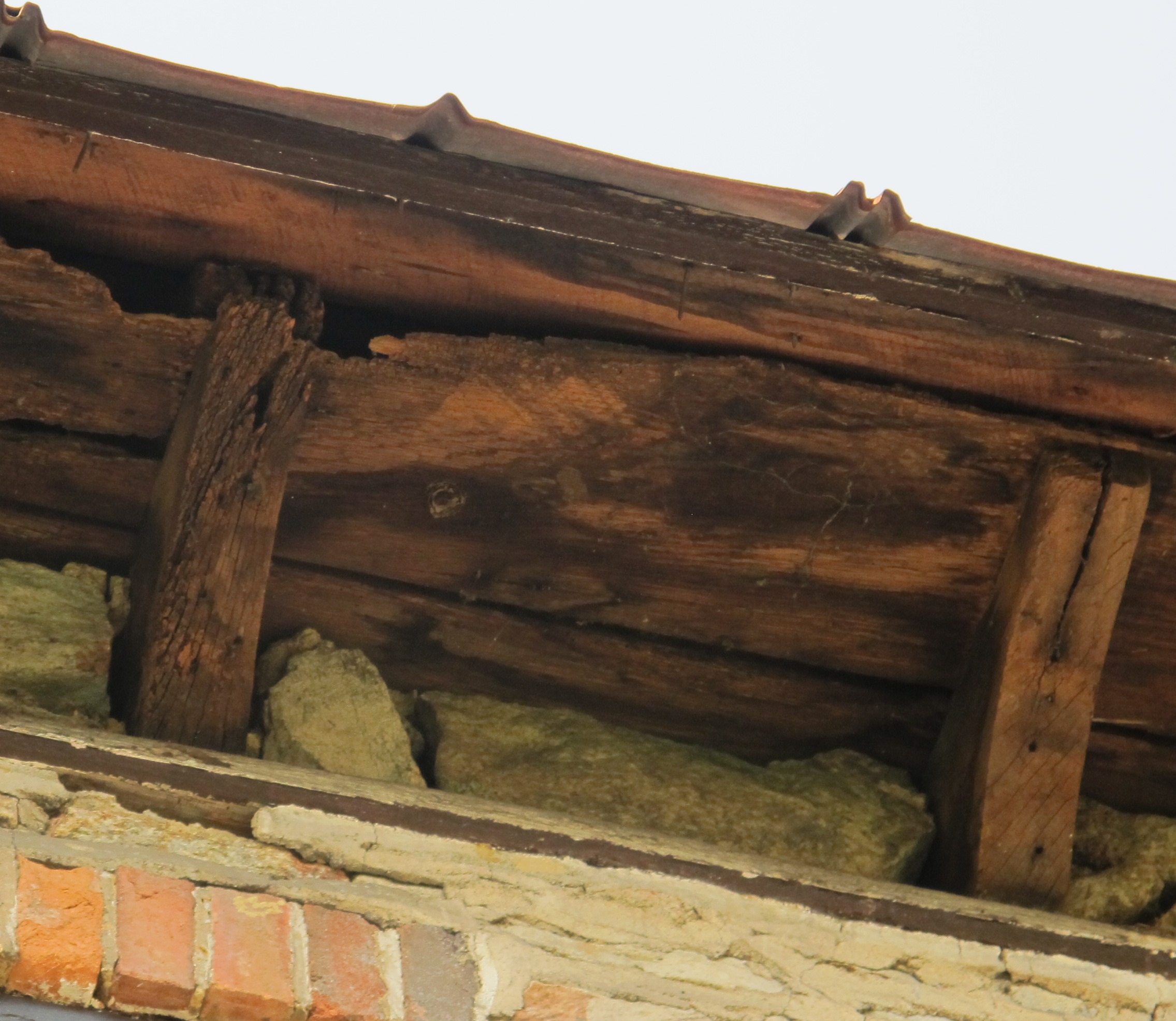 #11, photo 4140: Coved joist-ends with nail holes for cornice-plaster lath